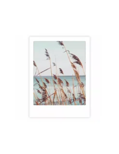 Affiche 30x40 Red Grass Beach - Pickmotion
