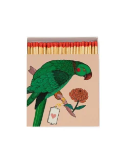 Allumettes Ariane Parrot - The Archivist