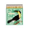 Allumettes Ariane's Toucan - The Archivist