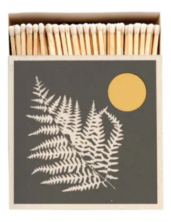 Allumettes Fern - The Archivist