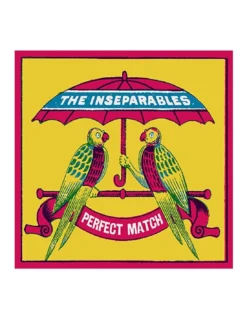 Boîte de 125 Grandes Allumettes The Archivist - Design Perroquets Amoureux & Jaune Solaire -Jolie Bougies Soldes allumettes inseparables the archivist 4