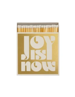 Allumettes Joy Is Now - The Archivist