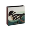 Boîte de Grandes Allumettes The Archivist - Illustration Audubon Golden-eye Duck (11x11 cm)