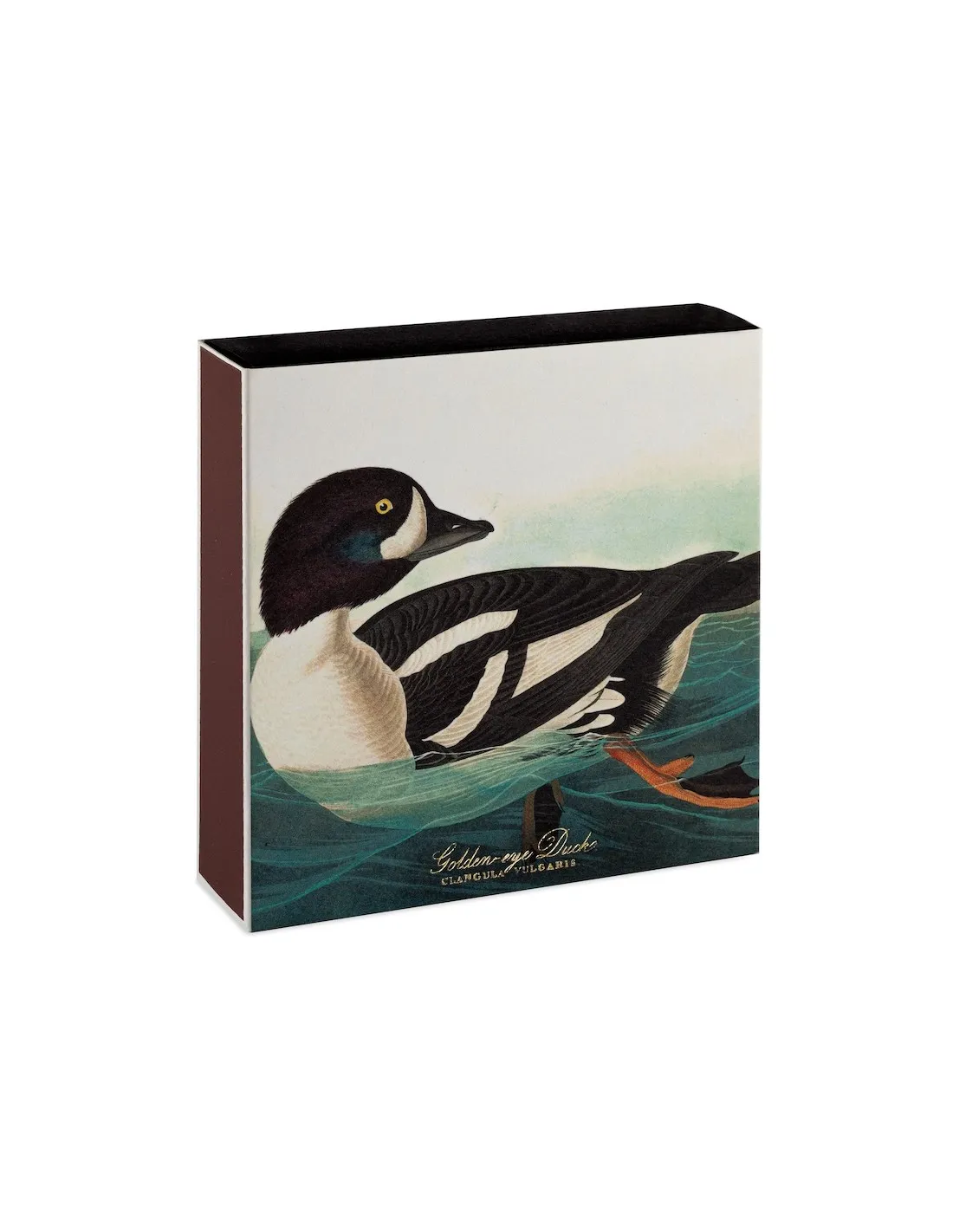 Boîte de Grandes Allumettes The Archivist - Illustration Audubon Golden-eye Duck (11x11 cm) 1 Boîte de Grandes Allumettes The Archivist - Illustration Audubon Golden-eye Duck (11x11 cm)