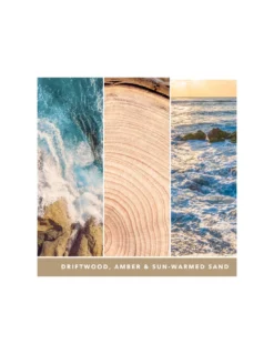 Yankee Candle Ambre Et Bois De Santal - Grande Bougie 2 Mèches -Jolie Bougies Soldes ambre et bois de santal grande bougie 2 meches 2