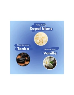 Bloom Blue Bird - 40 Bâtons D'encens Copal, Tonka Et Vanille 11 Bloom Blue Bird - 40 Bâtons D'encens Copal, Tonka Et Vanille -Jolie Bougies Soldes blue bird 40 batons d encens copal tonka et vanille 3