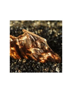 Bougie Bois De Oud AGAR - Apotheca -Jolie Bougies Soldes bougie bois de oud agar apotheca 3