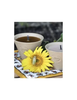 Bougie Extérieure Cire Blanche – Citronnelle Bio En Pot Des Landes -Jolie Bougies Soldes bougie exterieure cire blanche citronnelle bio en pot des landes 2