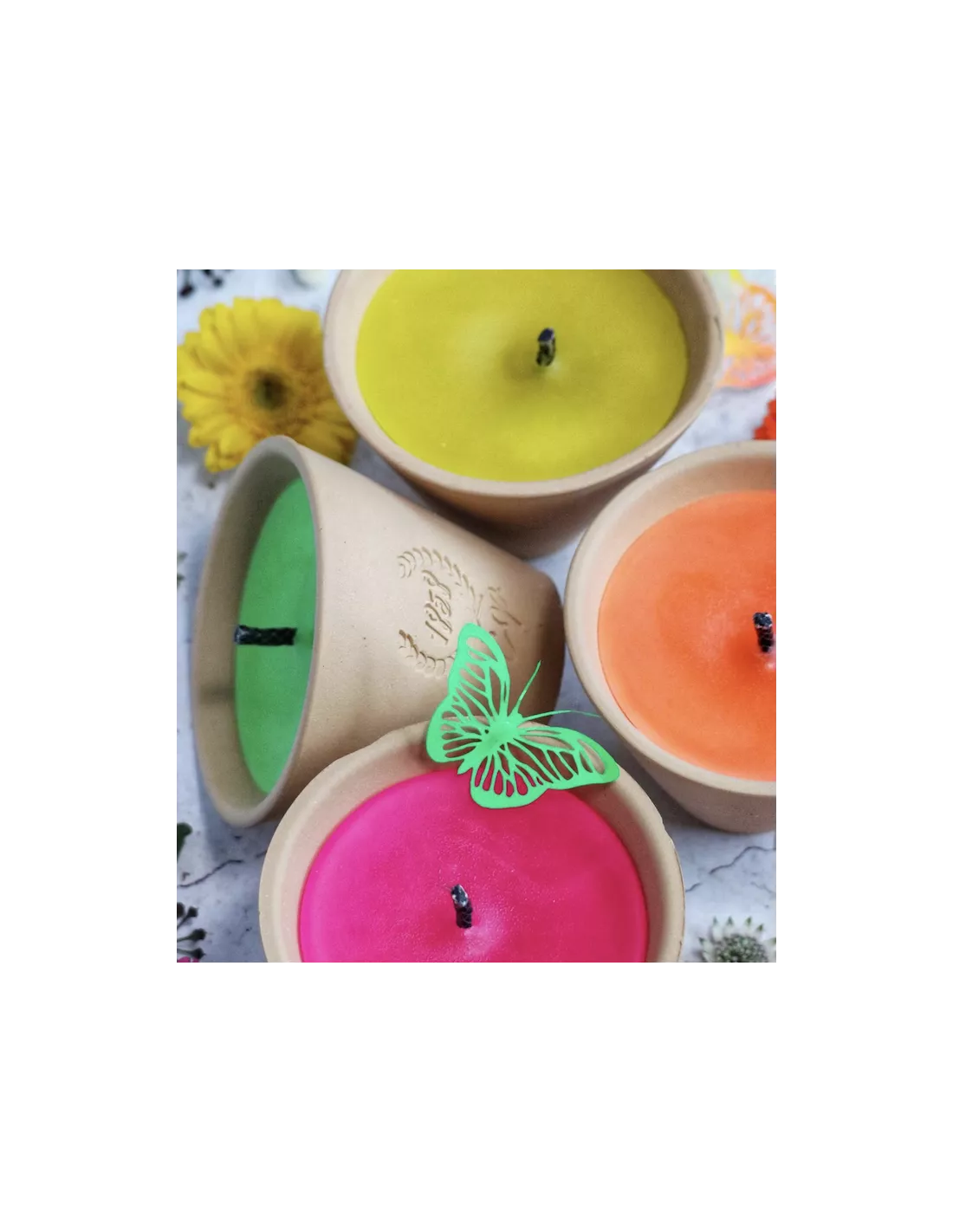 Bougie Extérieure Cire Vert Fluo – Citronnelle Bio En Pot Des Landes 2 Bougie Extérieure Cire Vert Fluo – Citronnelle Bio En Pot Des Landes – Image 2