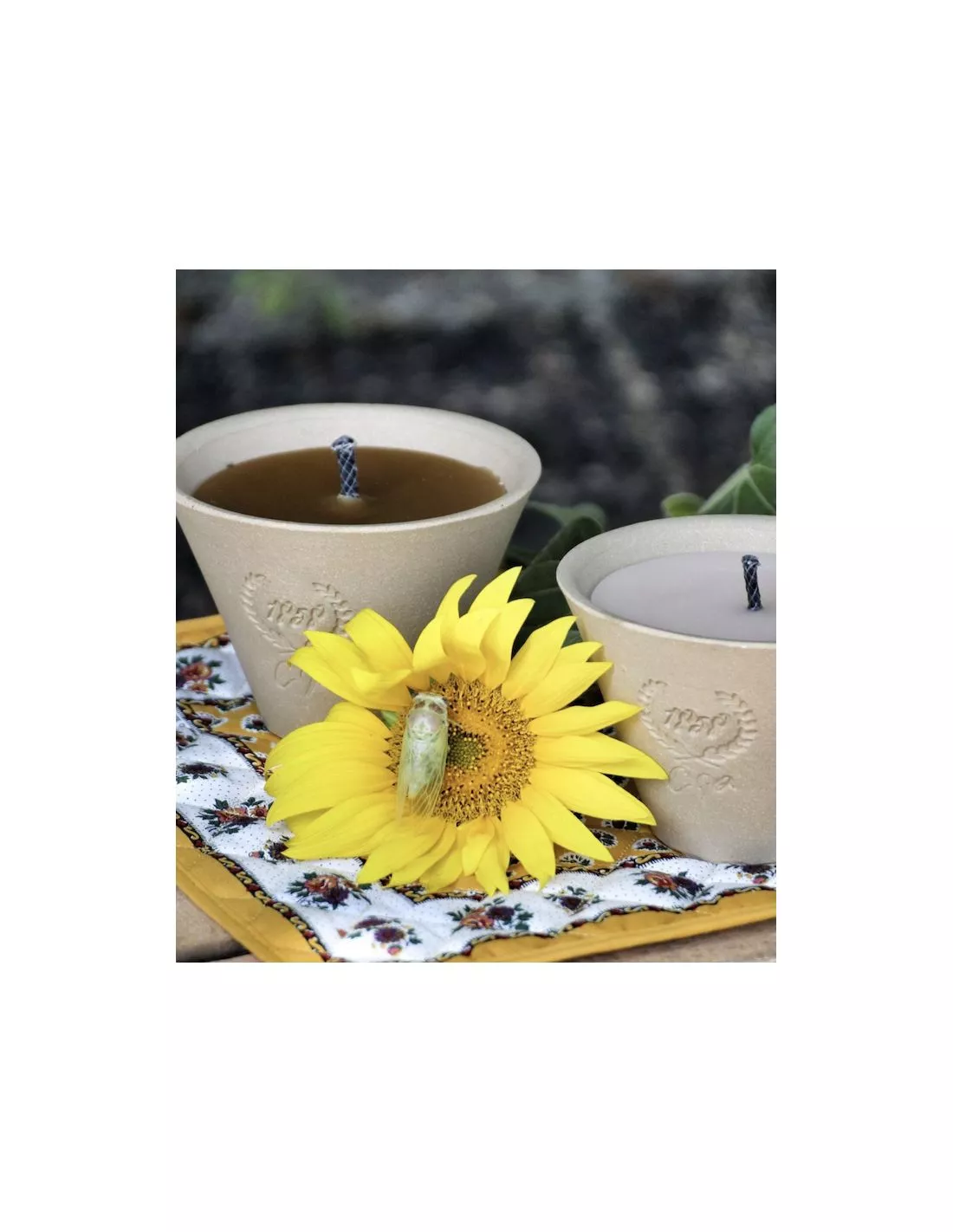 Bougie Extérieure Cire Vert Fluo – Citronnelle Bio En Pot Des Landes 3 Bougie Extérieure Cire Vert Fluo – Citronnelle Bio En Pot Des Landes – Image 3