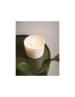 Bougie Figue Fraiche - 350 Gr - My Jolie Candle 5 Bougie Figue Fraiche - 350 Gr - My Jolie Candle -Jolie Bougies Soldes bougie figue fraiche 350 gr my jolie candle 2