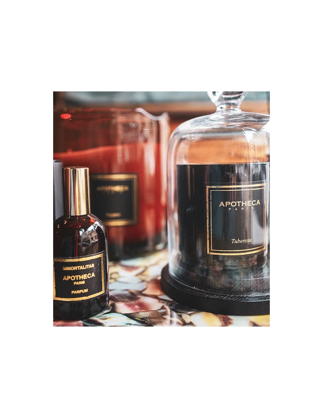 Bougie Fleur Blanche TUBEROSA - Apotheca 2 Bougie Fleur Blanche TUBEROSA - Apotheca – Image 2