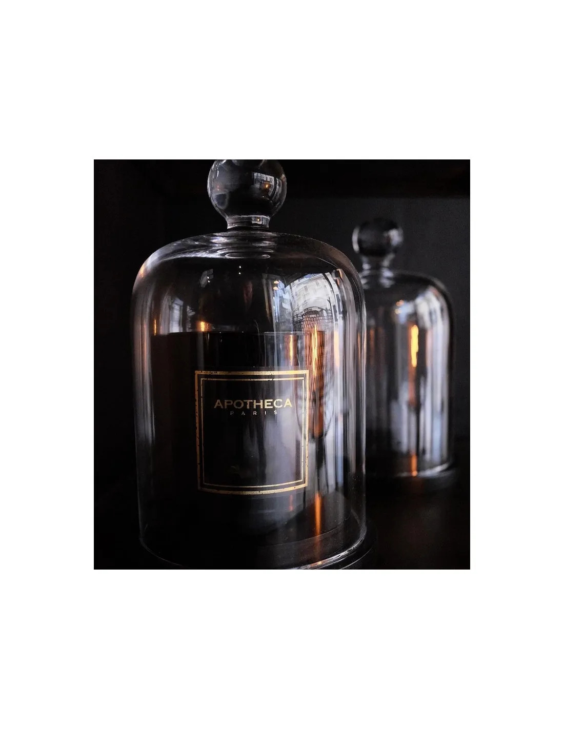 Bougie Fleur Blanche TUBEROSA - Apotheca 4 Bougie Fleur Blanche TUBEROSA - Apotheca – Image 4