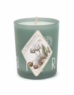 Bougie Kerzon Châtaigne Corse