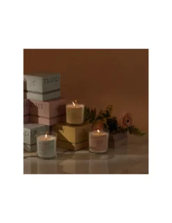 Bougie NOSTALGIA Poivre Et Prune - Mood Candle Paddywax 9 Bougie NOSTALGIA Poivre Et Prune - Mood Candle Paddywax -Jolie Bougies Soldes bougie nostalgia poivre et prune mood candle paddywax 4