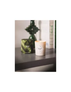 Bougie Patchouli Intense - 70 Gr - My Jolie Candle 5 Bougie Patchouli Intense - 70 Gr - My Jolie Candle -Jolie Bougies Soldes bougie patchouli intense 70 gr my jolie candle 2