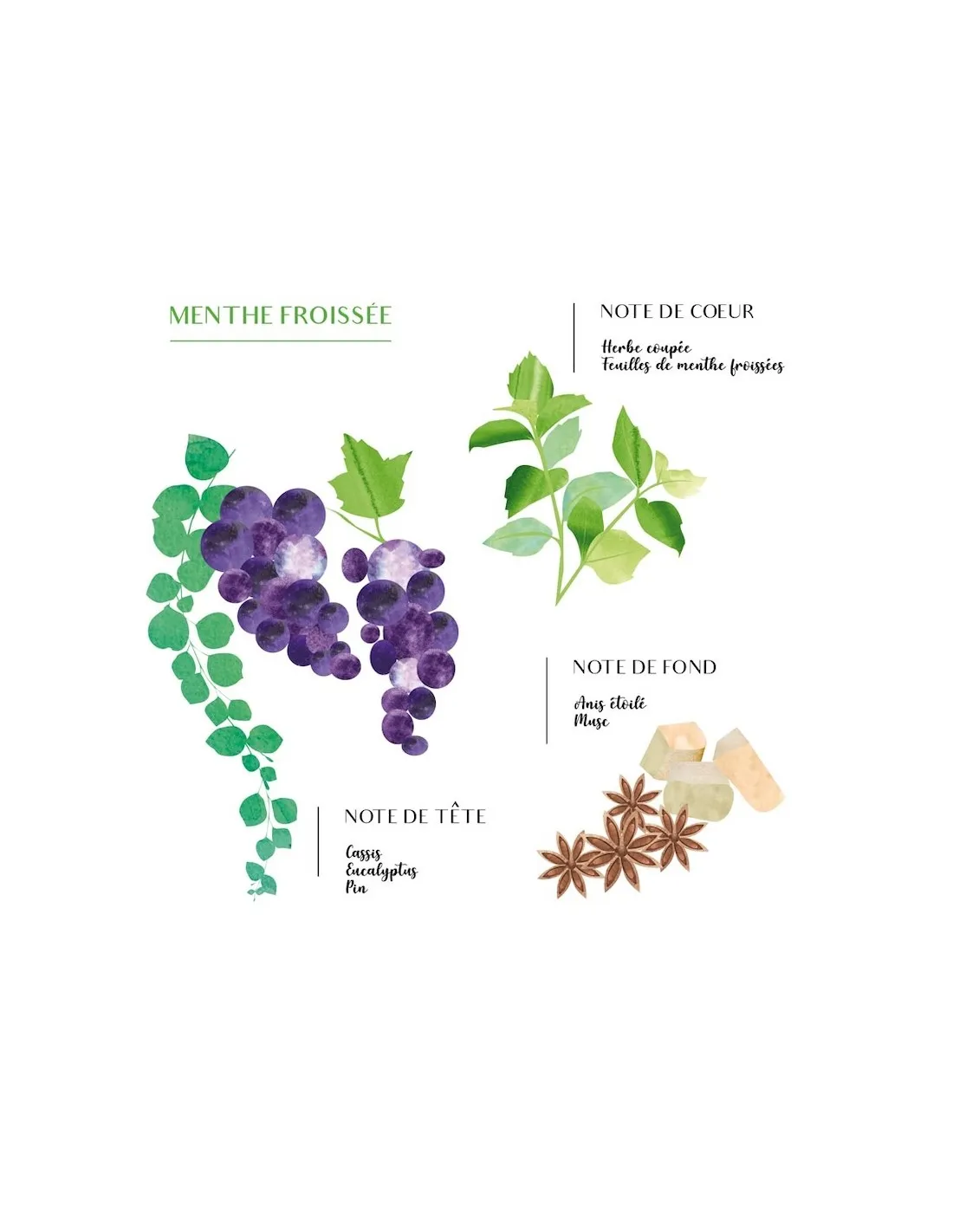 Bougie Raphia Alia L - Menthe Et Thé 5 Bougie Raphia Alia L - Menthe Et Thé – Image 5