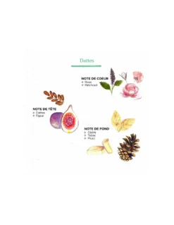 Bougie Raphia Radia L - Dattes -Jolie Bougies Soldes bougie raphia radia l dattes 3