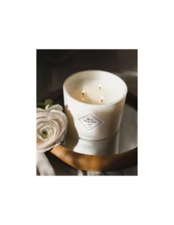 Bougie Rose Du Jardin - 350 Gr - My Jolie Candle 5 Bougie Rose Du Jardin - 350 Gr - My Jolie Candle -Jolie Bougies Soldes bougie rose du jardin 350 gr my jolie candle 2