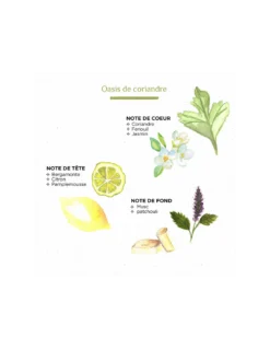 Bougie Tam Tam Strié Terracotta 7 Bougie Tam Tam Strié Terracotta -Jolie Bougies Soldes bougie tam tam strie terracotta 2