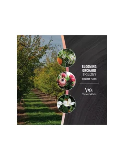 WoodWick Bougie Trilogy Verger En Fleurs - Ellispe 5 WoodWick Bougie Trilogy Verger En Fleurs - Ellispe -Jolie Bougies Soldes bougie trilogy verger en fleurs ellispe 2