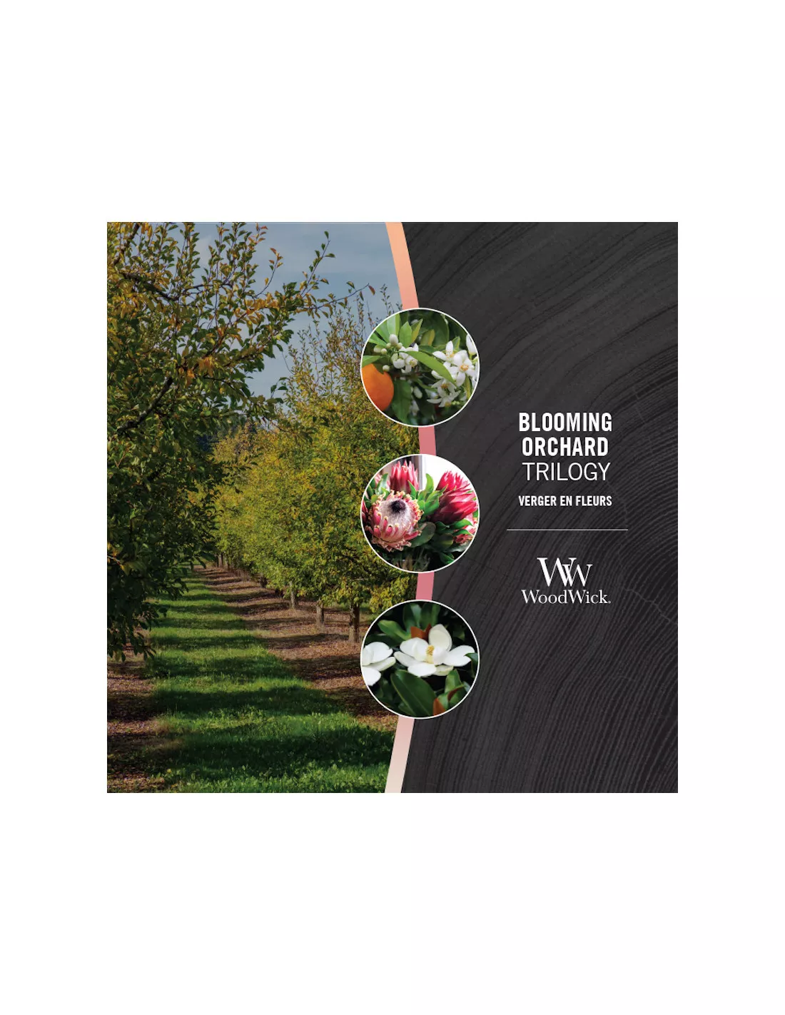 WoodWick Bougie Trilogy Verger En Fleurs - Ellispe 3 WoodWick Bougie Trilogy Verger En Fleurs - Ellispe – Image 3