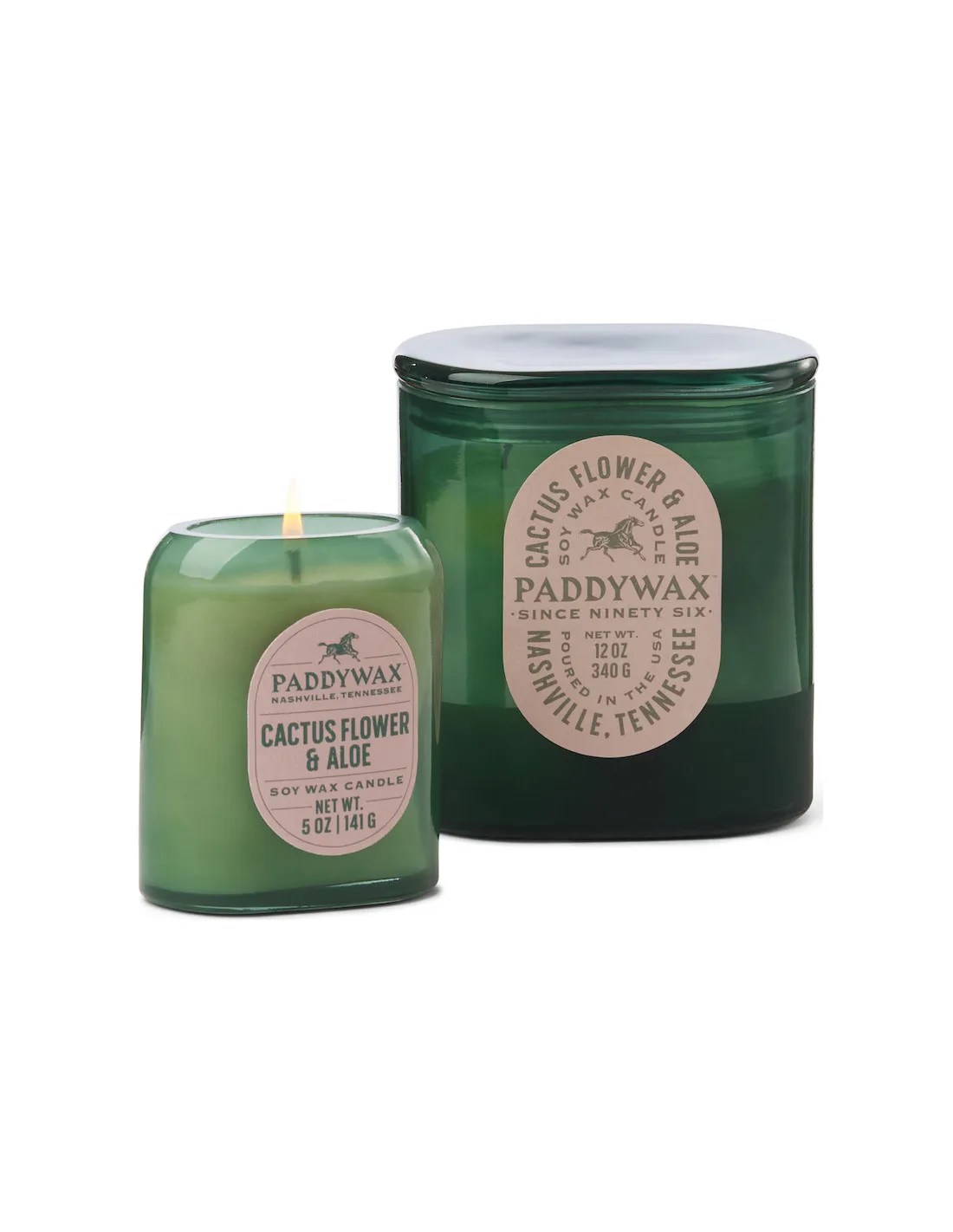 Bougie Vista 140 Gr - Fleur De Cactus Et Aloé Vera 3 Bougie Vista 140 Gr - Fleur De Cactus Et Aloé Vera – Image 3