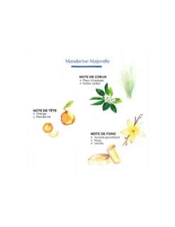 Bougie Zébré L - Mandarine Majorelle -Jolie Bougies Soldes bougie zebre l mandarine majorelle 4