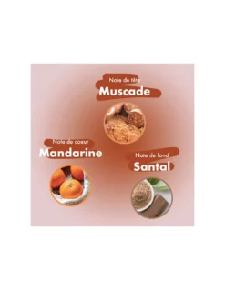 Bloom Bubble Shell - Coffret de 40 Bâtons d'Encens Naturels - Mandarine, Muscade & Bois de Santal -Jolie Bougies Soldes bubble shell 40 batons d encens mandarine muscade bois de santal 3