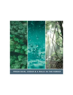 Yankee Candle Cèdre Marin - Moyenne Bougie 2 Mèches 5 Yankee Candle Cèdre Marin - Moyenne Bougie 2 Mèches -Jolie Bougies Soldes cedre marin moyenne bougie 2 meches 2