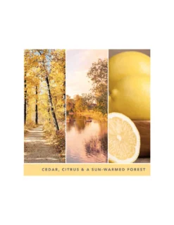 Yankee Candle Crépuscule Automne - Moyenne Bougie 2 Mèches -Jolie Bougies Soldes crepuscule automne moyenne bougie 2 meches 2