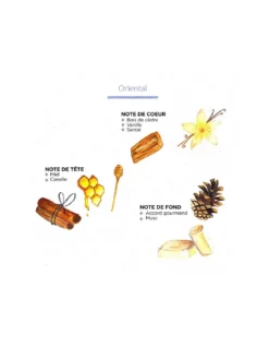 Diffuseur à Bâtonnets - Oriental 500 Ml -Jolie Bougies Soldes diffuseur a batonnets oriental 500 ml 2