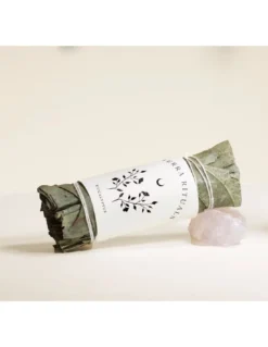 Eucalyptus Séché - Daterra Rituals 6 Eucalyptus Séché - Daterra Rituals -Jolie Bougies Soldes eucalyptus seche daterra rituals 2