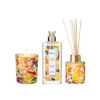 Lost Paradise - Bougie, Spray Et Diffuseur Parfumés