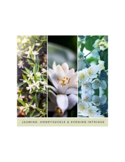 Yankee Candle Midnight Jasmine - Grande Colonne 5 Yankee Candle Midnight Jasmine - Grande Colonne -Jolie Bougies Soldes midnight jasmine grande colonne 2