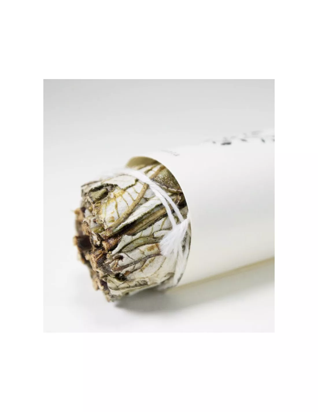 Herbe Sainte Yerba Santa de Californie – Rituel de Purification et Protection – Stick d'Encens Naturel 2 Herbe Sainte Yerba Santa de Californie – Rituel de Purification et Protection – Stick d'Encens Naturel – Image 2