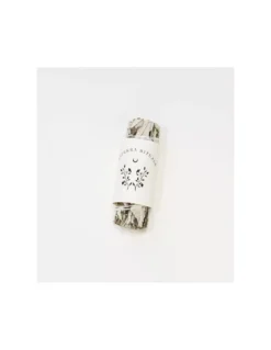 Herbe Sainte Yerba Santa de Californie – Rituel de Purification et Protection – Stick d'Encens Naturel