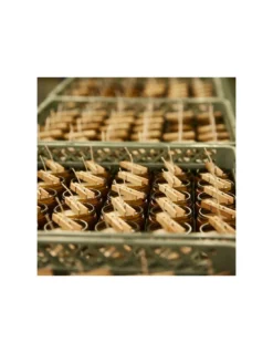 Pinon - Bougie PF Candle -Jolie Bougies Soldes pinon bougie pf candle 3