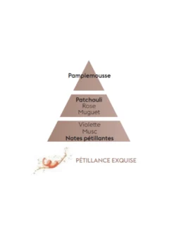 Recharge Diffuseur Voiture - Pétillance Exquise -Jolie Bougies Soldes recharge diffuseur voiture petillance exquise 2