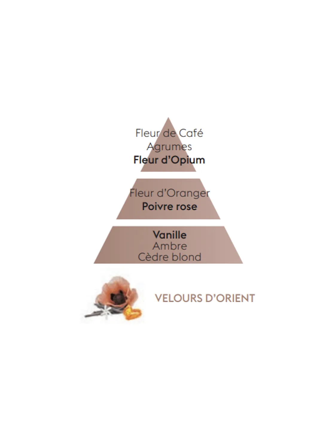 Recharge Diffuseur Voiture - Velours D'orient 4 Recharge Diffuseur Voiture - Velours D'orient – Image 4