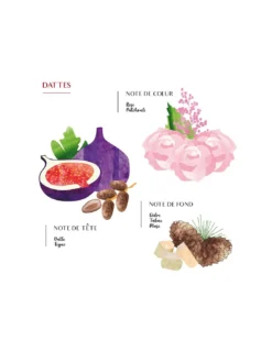 Côté Bougie Recharge Diffuseur Capilla Dattes 300ml – Parfum d’Ambiance Oriental et Gourmand 9 Côté Bougie Recharge Diffuseur Capilla Dattes 300ml – Parfum d’Ambiance Oriental et Gourmand -Jolie Bougies Soldes recharge parfumee diffuseur capilla spray dattes 3