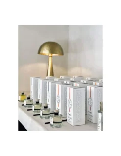 Recharge Parfumée Diffuseur Capilla Spray Menthe Et Thé -Jolie Bougies Soldes recharge parfumee diffuseur capilla spray menthe et the 3