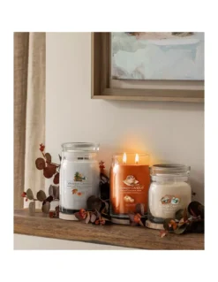 Yankee Candle Roulé Cannelle Et Citrouille - Moyenne Jarre 2 Mèches -Jolie Bougies Soldes roule cannelle et citrouille moyenne jarre 2 meches 5