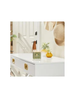 Yankee Candle Sauge Et Agrumes - Moyenne Jarre 2 Mèches