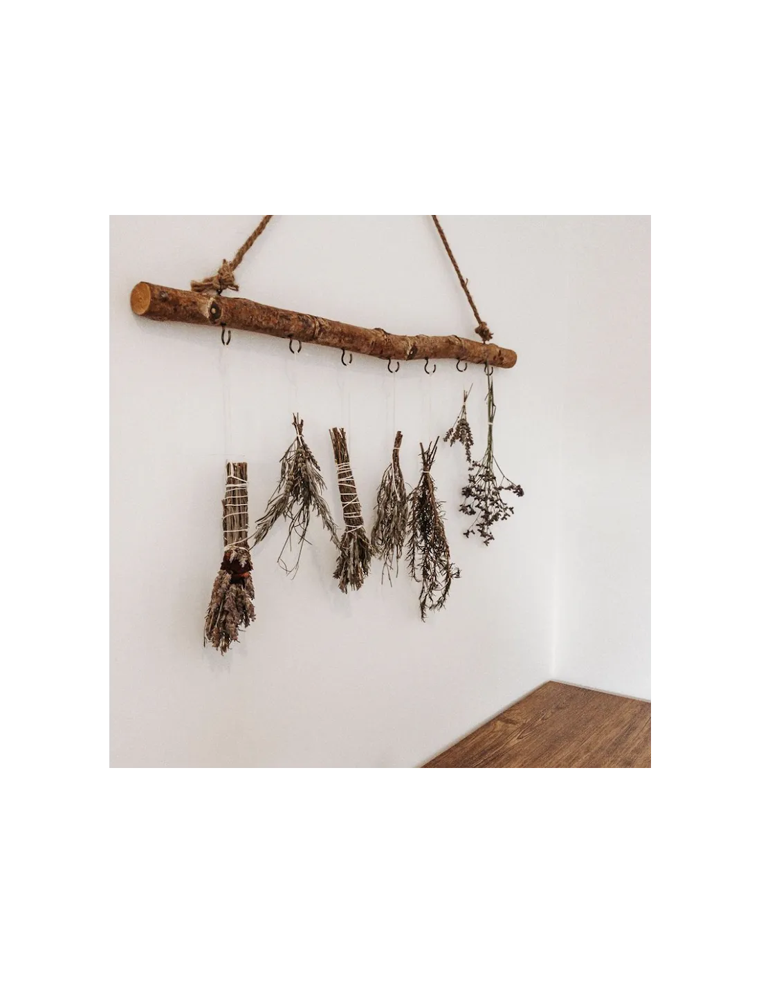 Solstice D’été Et Roses Rouges - Daterra Rituals 4 Solstice D’été Et Roses Rouges - Daterra Rituals – Image 4