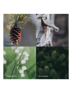 Spray Skog 100 ML Skandinavisk 8 Spray Skog 100 ML Skandinavisk -Jolie Bougies Soldes spray skog 100 ml skandinavisk 3