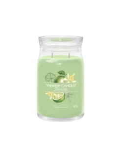 Yankee Candle Vanille Citron Vert - Grande Bougie 2 Mèches