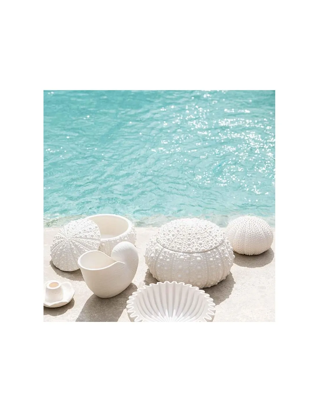 Vase Nautilus - Andrea House 2 Vase Nautilus - Andrea House – Image 2