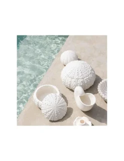 Vase Nautilus - Andrea House 7 Vase Nautilus - Andrea House -Jolie Bougies Soldes vase nautilus andrea house 3