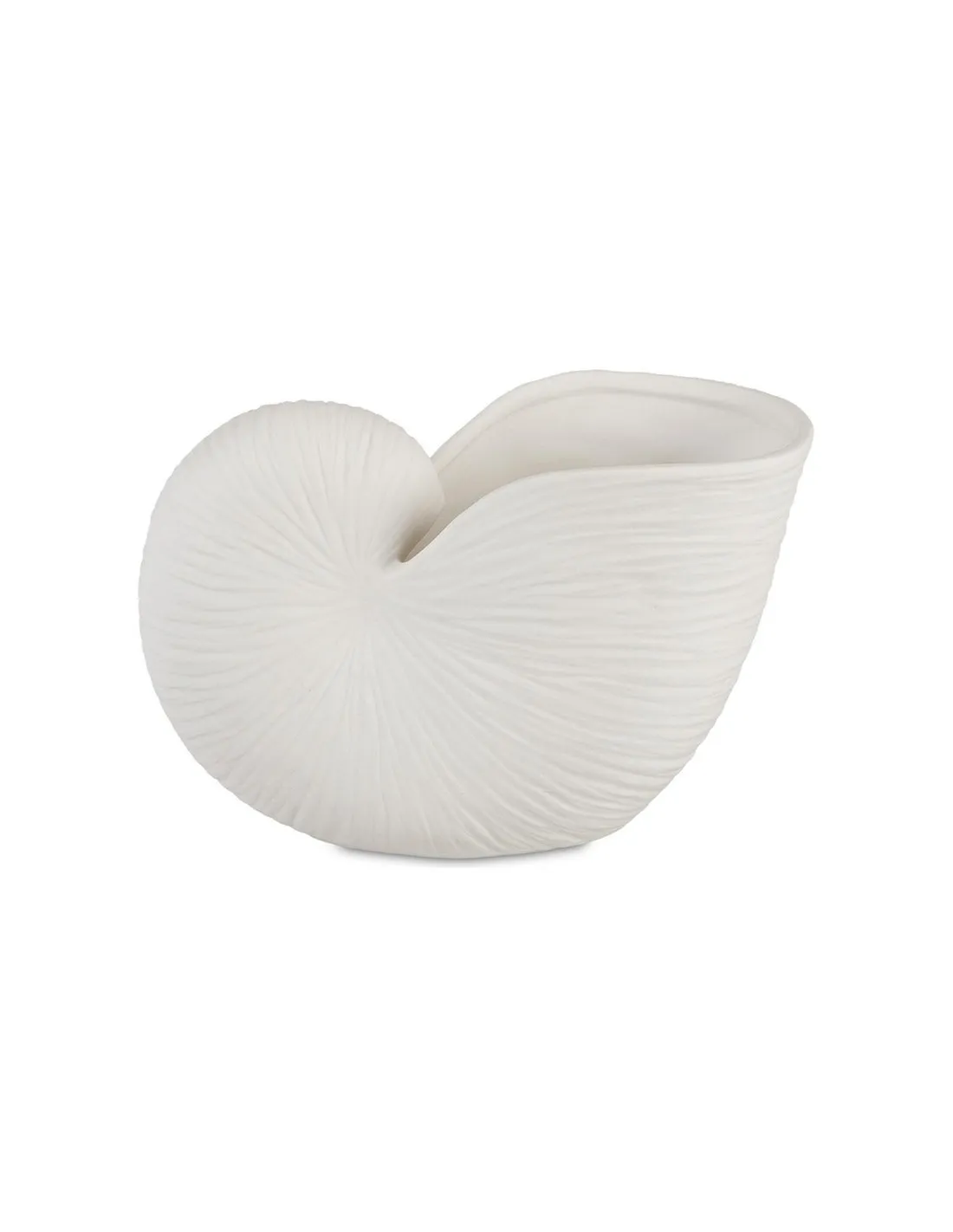 Vase Nautilus - Andrea House 1 Vase Nautilus - Andrea House